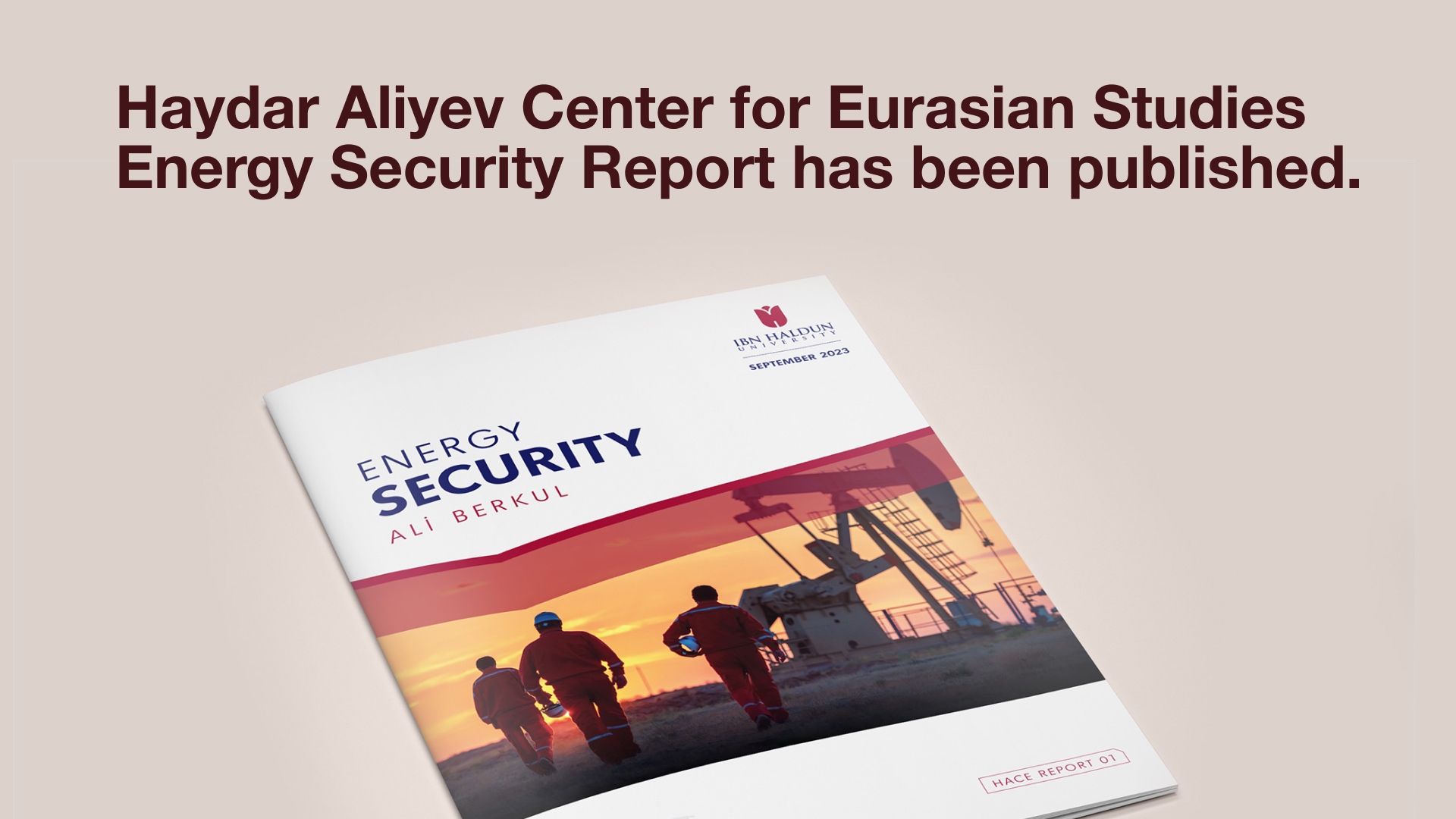 Our 'Energy Security' report was published.