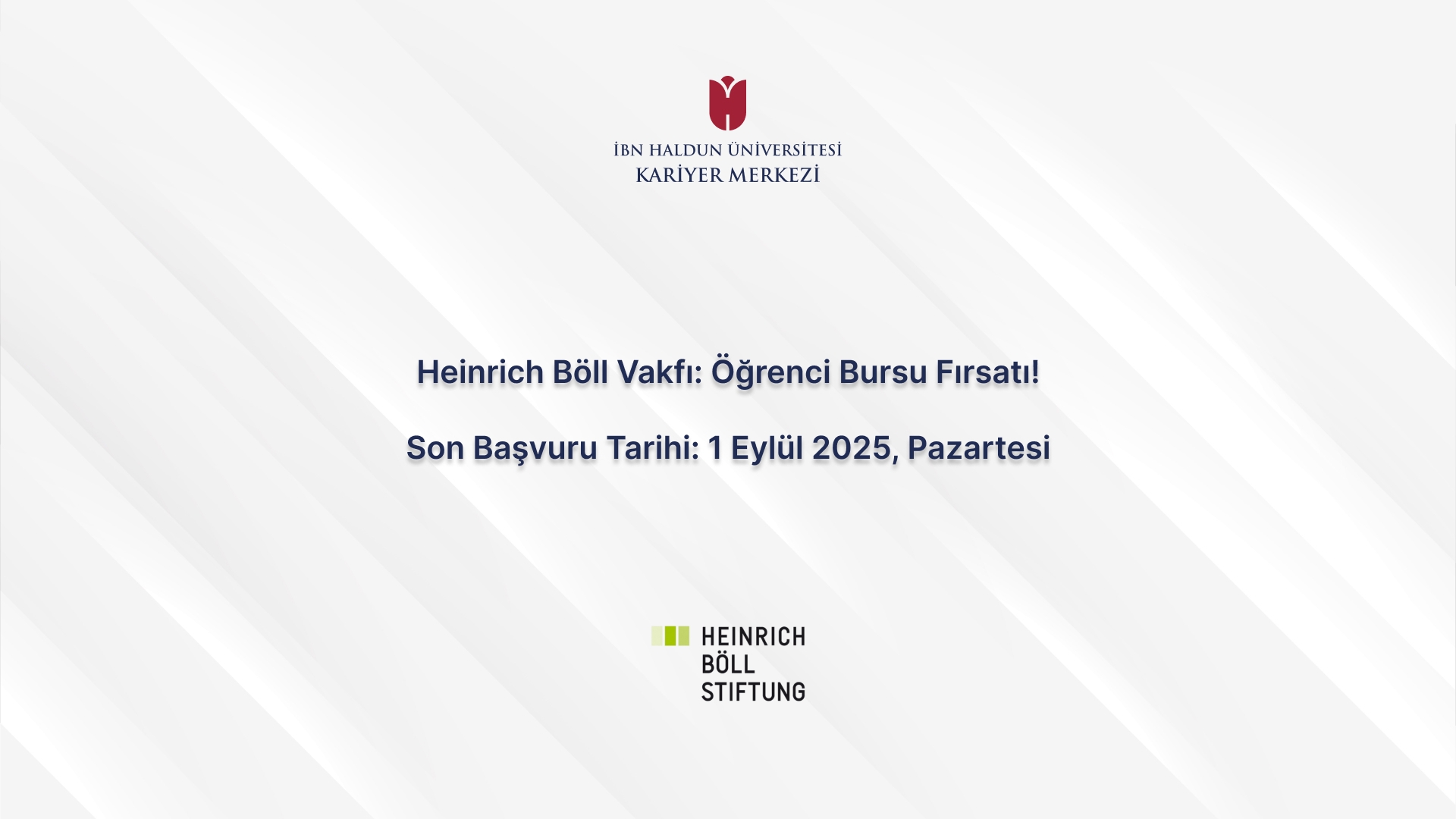 Heinrich Böll Foundation: Student Scholarship Opportunity