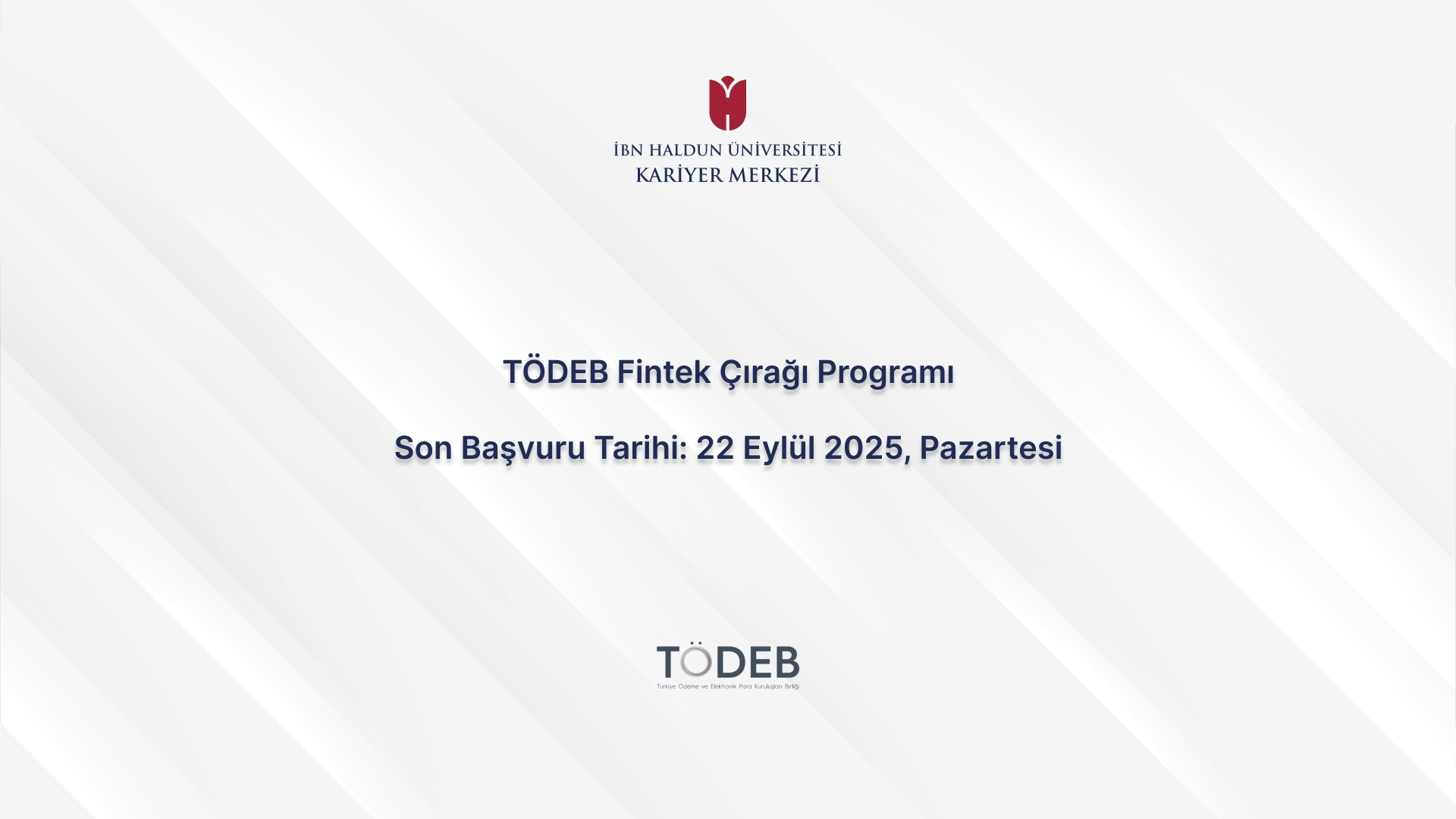 TÖDEB Fintech Apprentice Program
