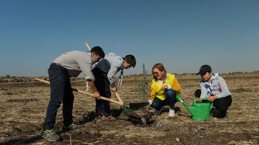 A Gift to Nature from the Intellectual Independence in the Digital World Project: 500 Olive Saplings