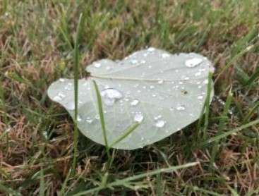  Narrative Group Project: Different Ways of Coping in the Corona Virus Process