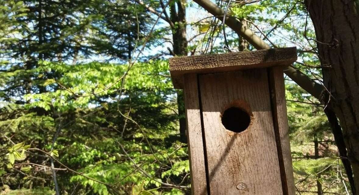 Stories of People Going Through the Covid-19 Process