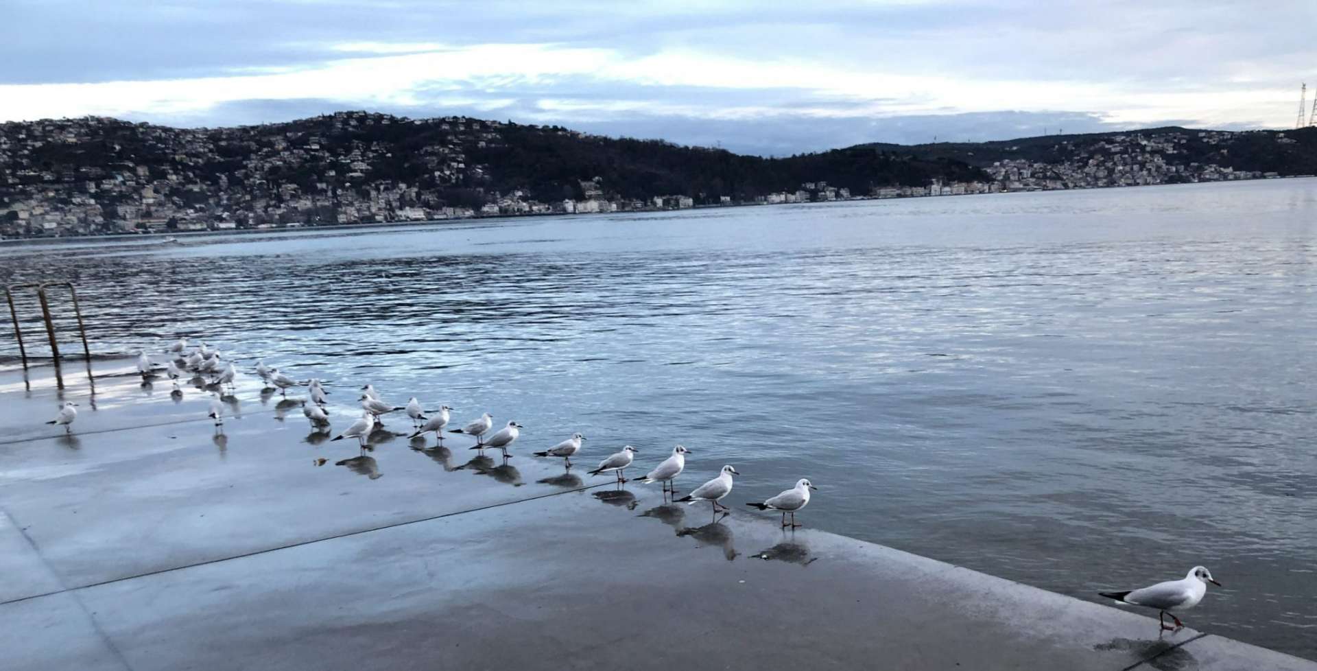  Overview of the Covid-19 Process with a Collective Poem