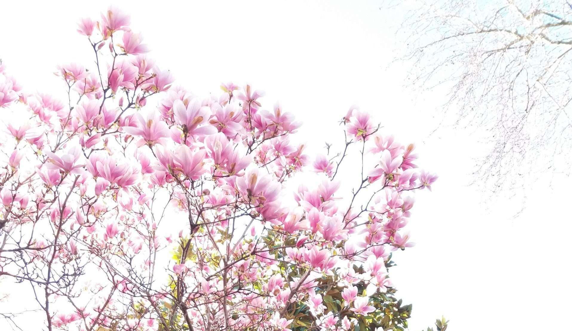 The Collective Formula of Feeling Strong in the Face of Challenges