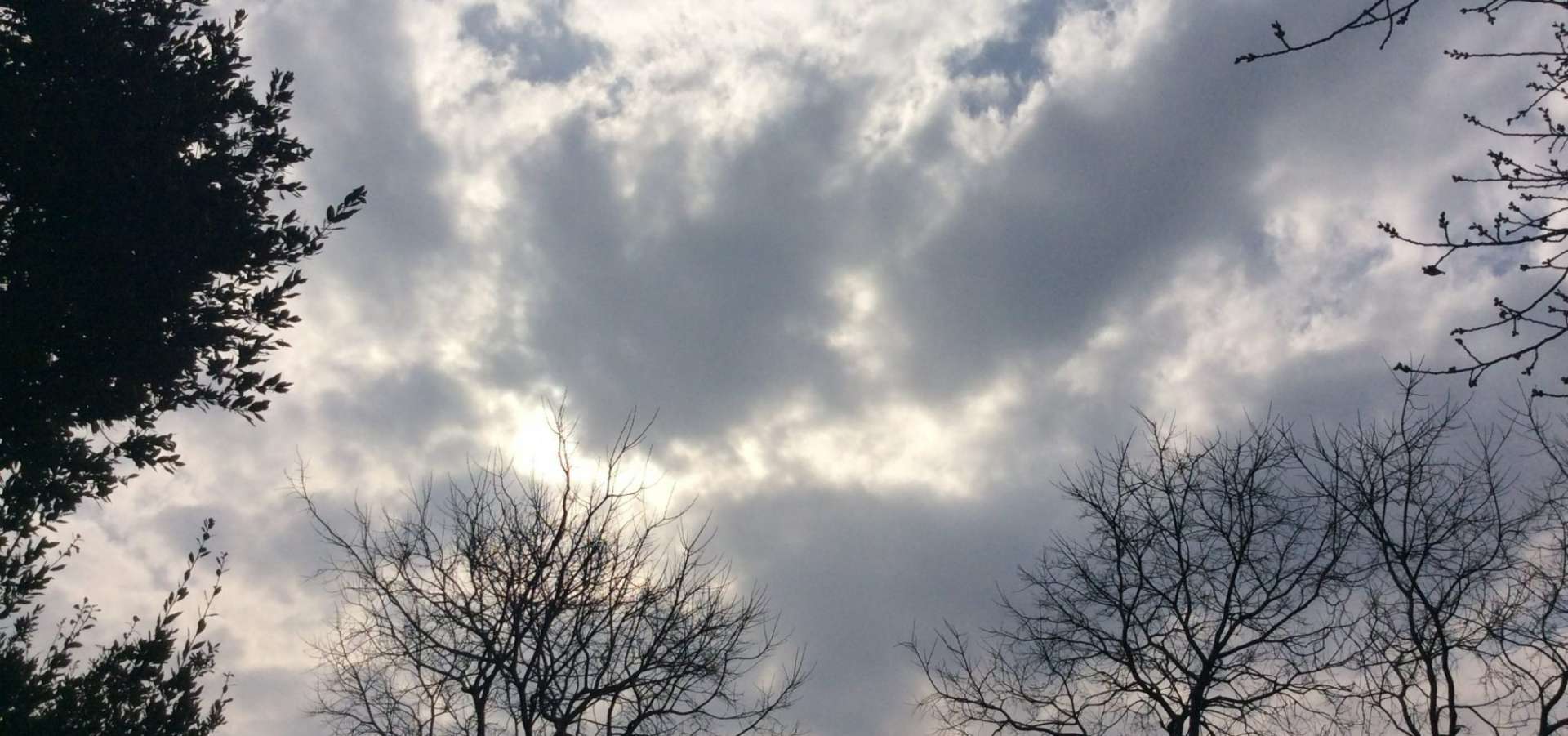  A Collective Video in Response to the Covid-19 Process